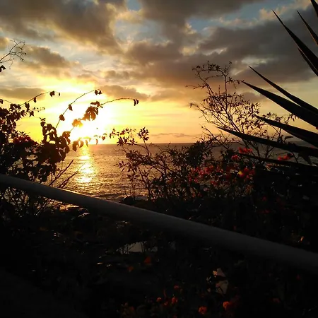 Apartment Rita's House Of The Sun Los Cristianos (Tenerife)